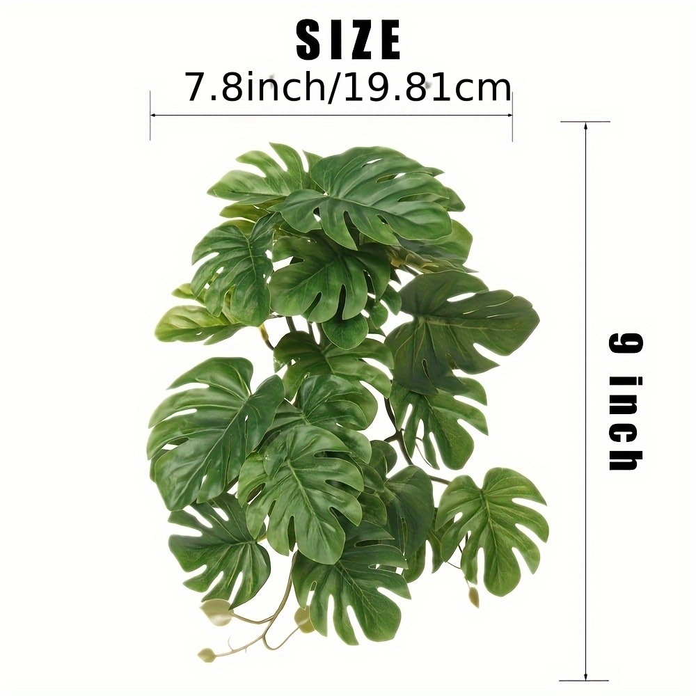 Reptielenplanten voor terrariu - Monstera Adansonii recensie en prijs